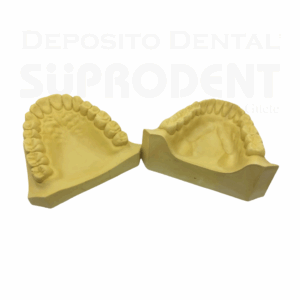 MODELOS DE YESO DENTALES ADULTO PAR