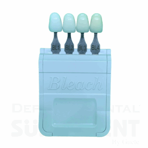 GUIA DE COLOR BLEACH